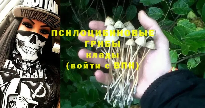 Псилоцибиновые грибы Magic Shrooms  купить  цена  Ковдор 